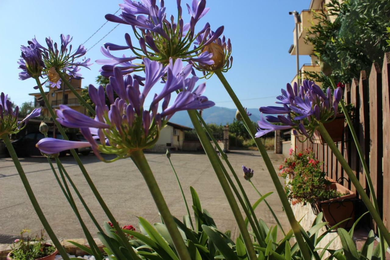 B&B La Vigna Lamezia Terme Exterior foto